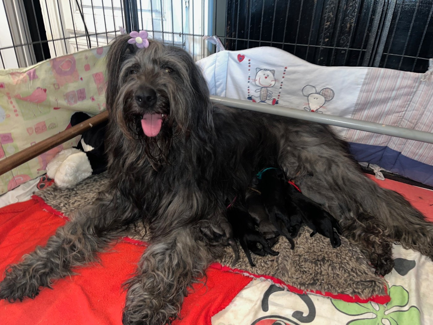 naissance le 13 mars 2026